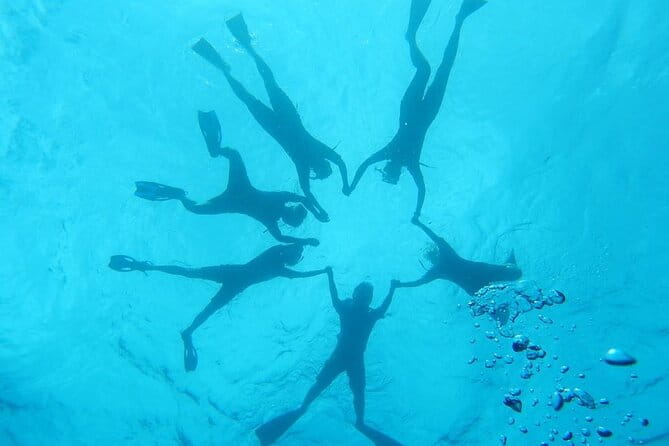 2-Hour Dolphin Watching and Double Reef with Snorkel in Hawaii - Final Thoughts: Is It Worth It?