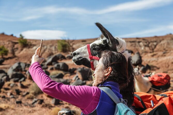 2-Hour Llama Hike - Why We Think This Tour Offers Good Value