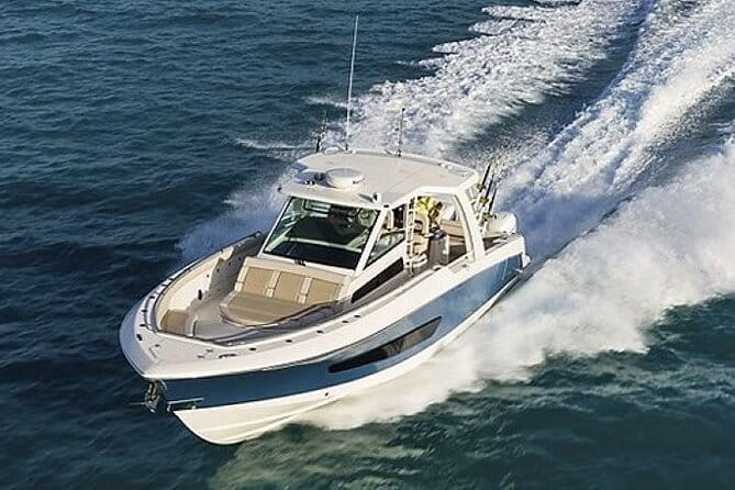 2-Hour Ma'alaea Humpback Whale Watching Cruise for up to 6 Guests - Who This Tour is Best For