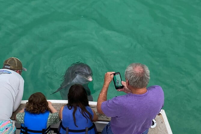 2 Hour Private Dolphin Sightseeing Tour - Meeting Point and Practical Details