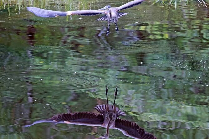 2-Hour Wildlife and Culture small van Excursion - Who Should Consider This Tour?