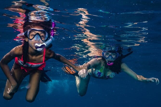 2-Tank Maui Turtle Scuba Dive or Snorkel Boat Tour - Wrapping Up: Who Should Book This Tour?
