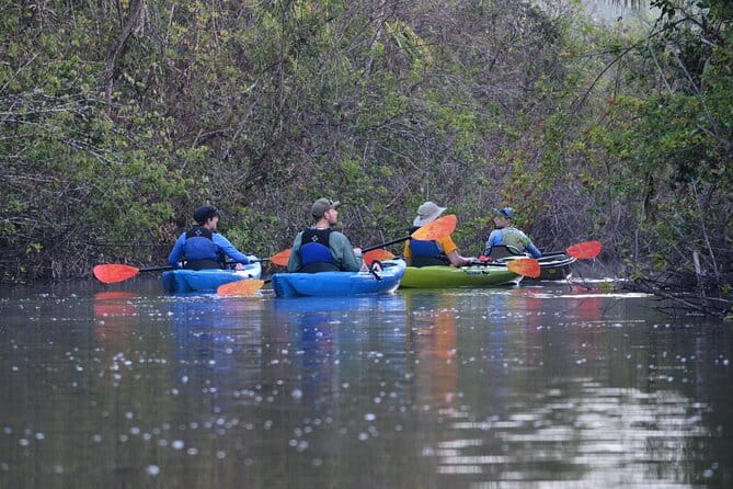 2Hour Everglades Kayak Safari Adventure Through Mangrove Tunnels - The Value of the Experience
