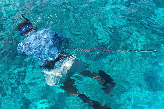 3 Hour Private Snorkeling in Marathon Florida - Practical Details: What Travelers Should Know