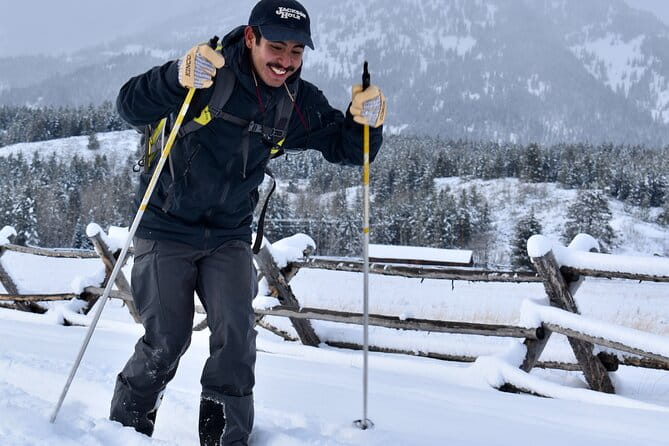 4 Hour Beginner Cross Country Skiing in Grand Teton - The Sum Up