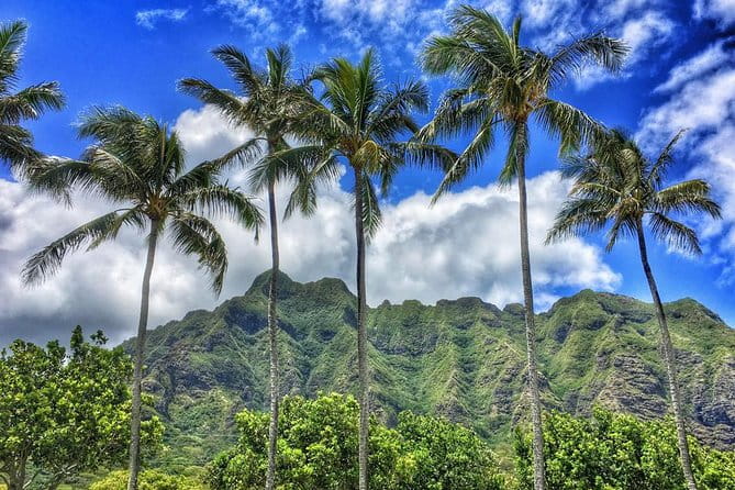 4 Hour Half Day Island Jeep Tour - Authenticity and Local Insights: The Heart of the Experience