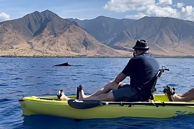 4 hour Private Custom Kayak Tour Lahaina - The Itinerary: What to Expect