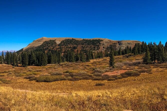 4 Hours Durango Colorado - Jeep Tour - Practical Tips for Travelers