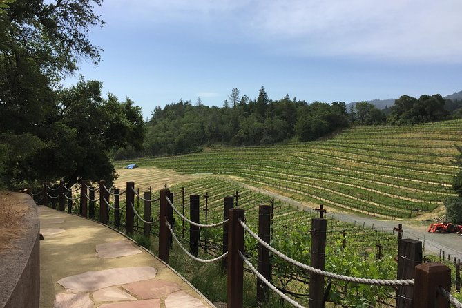 8-Hours Private Limo(up to 8 pass.) Wine Tour of Napa Valley from San Francisco - What to Expect on the Day