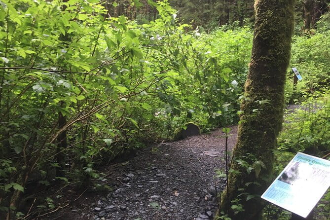 Alaska Bigfoot Adventures - Final Thoughts on Alaska Bigfoot Adventures