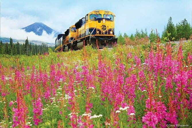 Alaska Railroad Fairbanks to Denali One Way - The Sum Up: Who Will Love This Experience?
