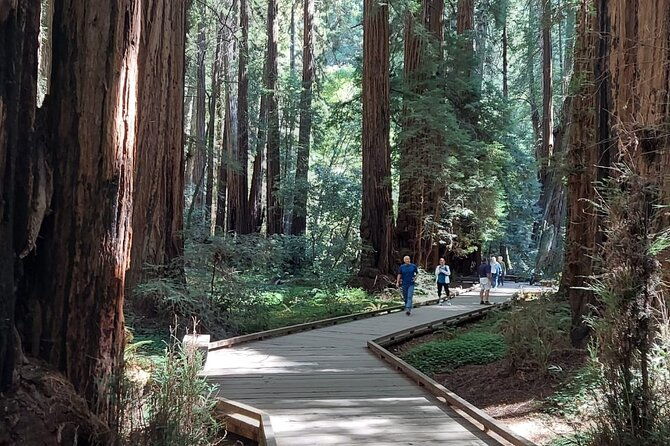 Amazing Muir Woods and Sausalito Tour - Authentic Traveler Feedback
