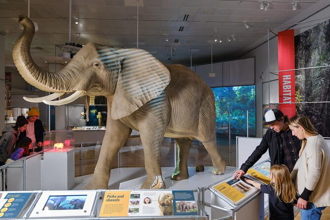 American Museum of Natural History Admission Ticket - FAQ