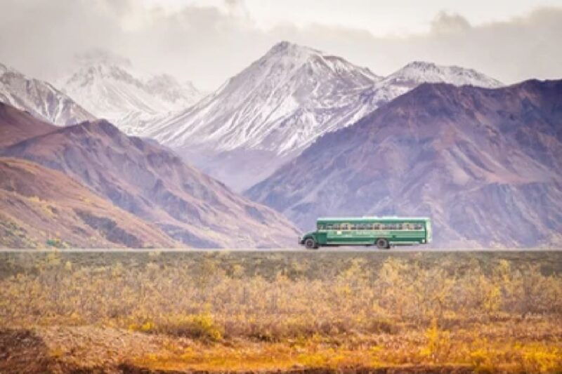 Anchorage: Kenai Fjords & Denali National Park 5 Day Tour - Who Should Consider This Tour?