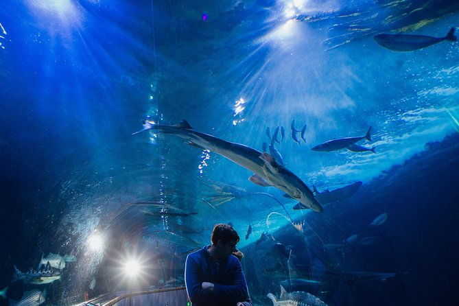 Aquarium of the Bay General Admission Ticket - FAQ