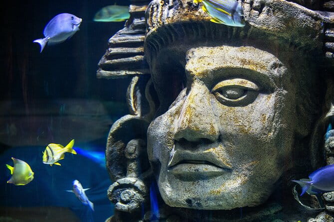 Audubon Aquarium & Insectarium Ticket - FAQ