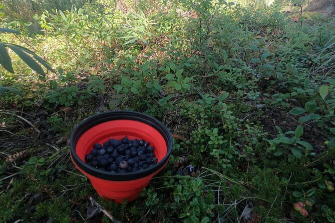 Backcountry Eats & Foraging Treats - Final Thoughts