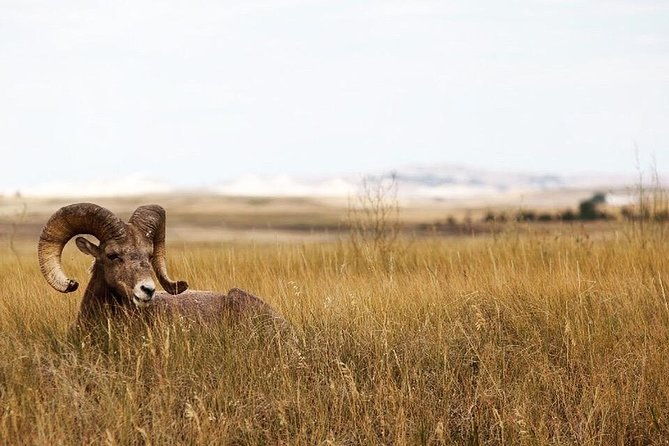 Badlands National Park by Bicycle - Private - Practical Considerations