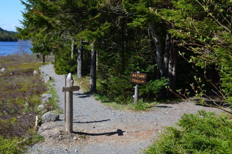 Bar Harbor: Acadia National Park Private Tour with Lunch - Who Should Consider This Tour?
