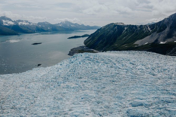 Bear Glacier Scenic Signature Flight - Authentic Insights from Travelers