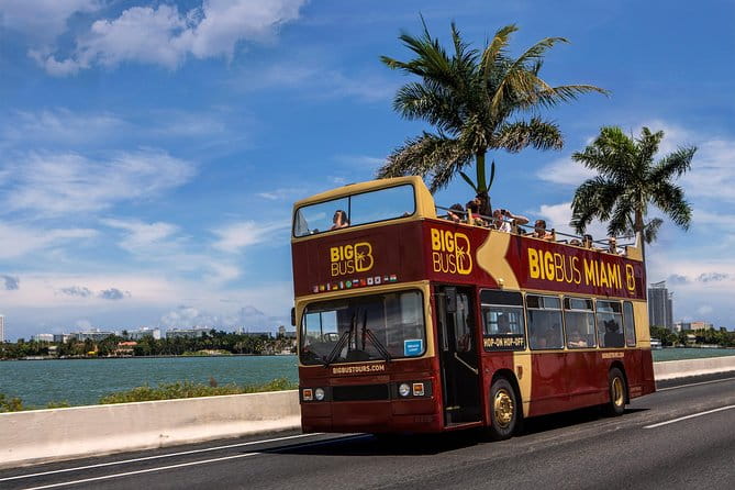 Big Bus Miami: Hop-on Hop-off Sightseeing Tour with Cruise Option - The Added Value of the Tour