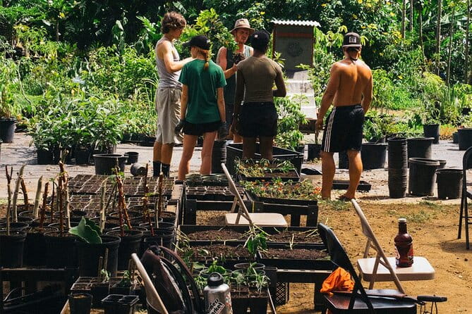 Big Island Farms Tour in Hawaii - What the Reviews Say