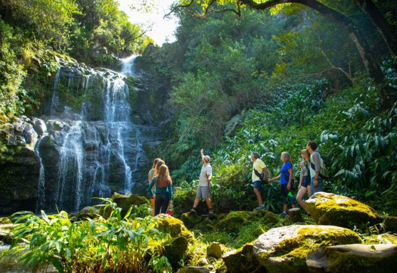 Big Island: Full Day Adventure Tour of the Kohala Waterfalls - FAQs