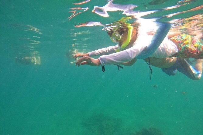 Blue Heron Bridge Guided Snorkel Tour - Who Should Consider This Tour?