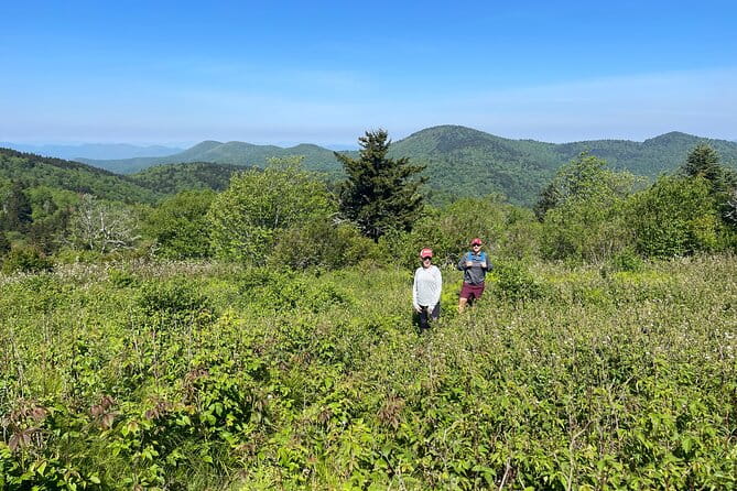 Blue Ridge Mtns Hiking Tour with the areas top rated trail expert - Final Thoughts