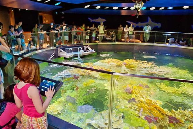 Boston CityPASS® - What Travelers Say: Authentic Perspectives