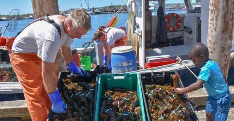 Boston: Kennebunkport Day Trip with Optional Lobster Tour - Nubble Lighthouse and York: Iconic Maine Views