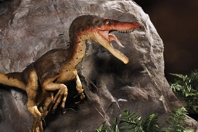 Branson Dinosaur Museum Admission Ticket - Frequently Asked Questions