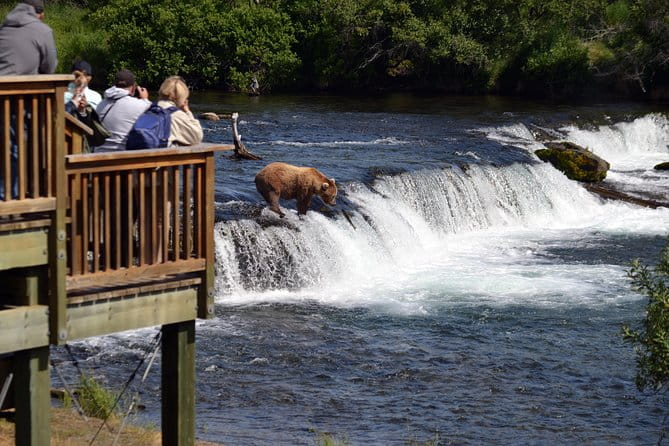 Brooks Falls Katmai Bear Viewing in a Float Plane - The Sum Up