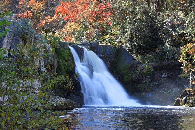 Cades Cove Sightseeing Self-Guided Driving Audio Tour - What Makes This Tour Stand Out?