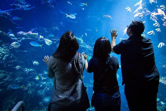 California Academy of Sciences NightLife Admission Ticket - Who Will Love This Experience?