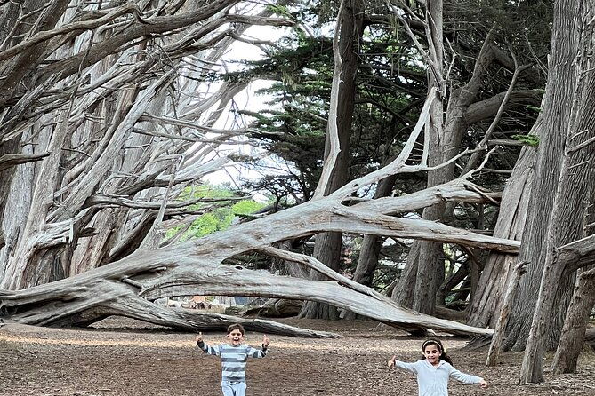 Carmel, Monterey and Big Sur Tour Private Tour from San Francisco - Wrapping It Up