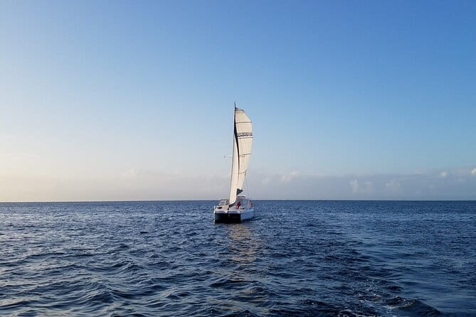 Catamaran Sailing Cruise in Monterey - Frequently Asked Questions