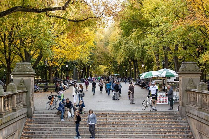 Central Park and 5th Avenue Walking Tour - Practical Details and Tips