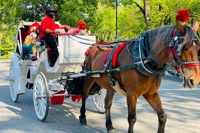 Central Park Horse and Carriage Rides - Practical Details and Tips for Travelers