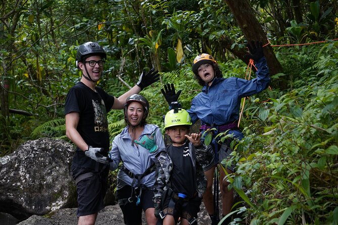 Chasing Waterfalls:Wild Hawaii Rappelling - Summary of the Experiences Value