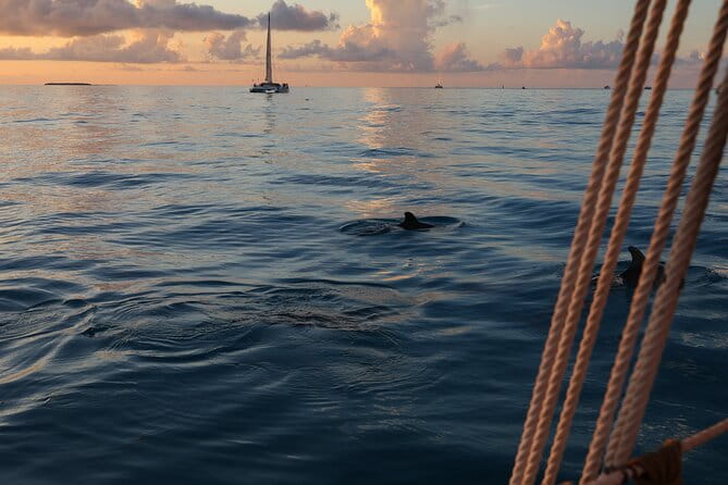Classic Key West Schooner Sunset Sail with Full Open Bar - Final Thoughts