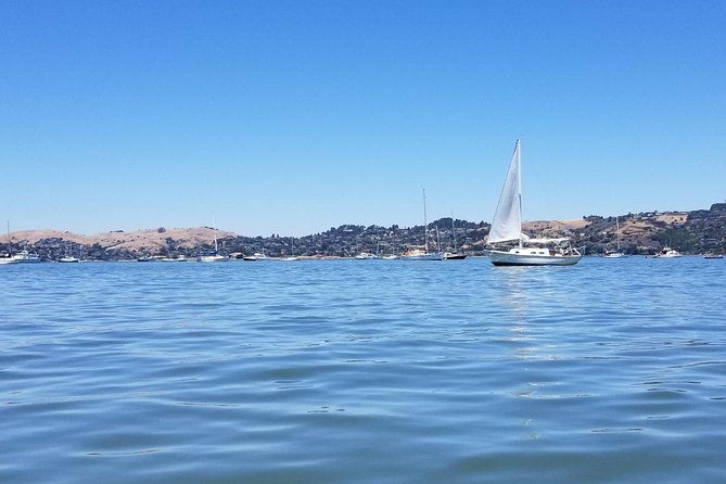 Combo Tour: Muir Woods, Sausalito and Sonoma Wine Country Tour - Analyzing the Value