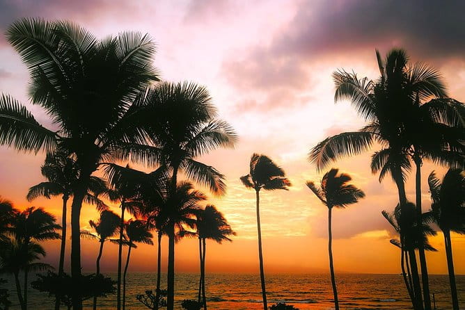 Creative Soul Scavenger Hunt( Kona Big island Hawaii) - The Sum Up: Who is this scavenger hunt best for?