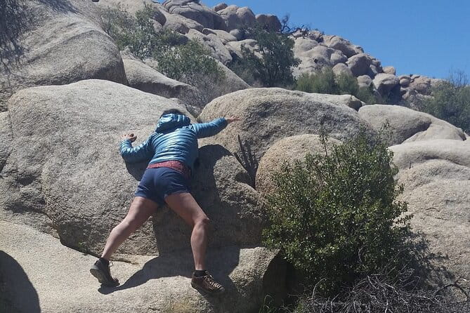 CreativeSoul ScavengerHunt(Hidden Valley,Joshua Tree)Remote Host - The Challenge and Participation
