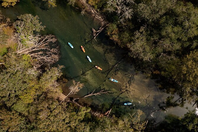 Cypress Springs Eco Adventure - Authentic Experiences and Real Feedback