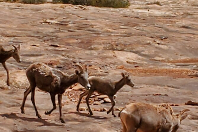 Day Tour Arches and Canyonlands National Park in Utah - Is this Tour Worth the Price?