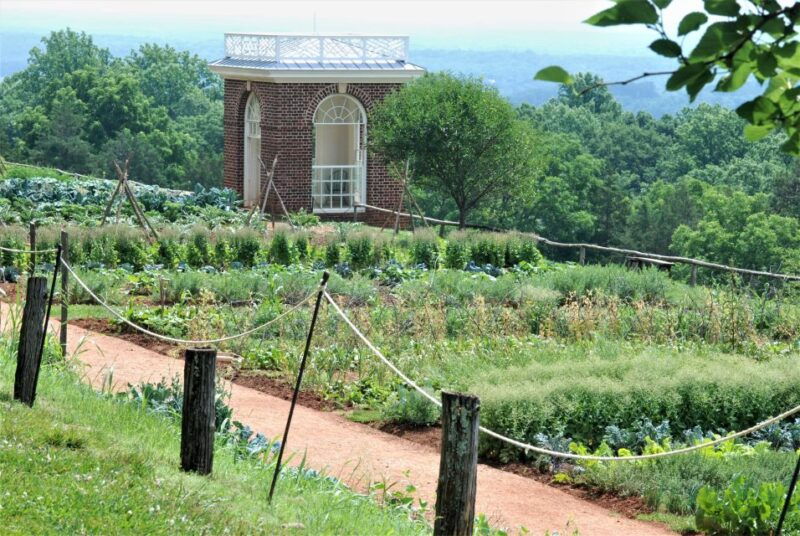 DC: Private Day Trip to Thomas Jeffersons Monticello Estate - The Experience and Value