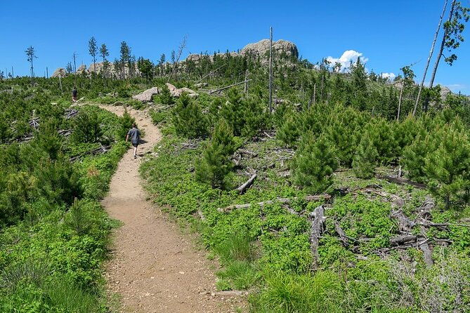 Devil's Tower - Deadwood - Spearfish Canyon Waterfalls + Picnic - Frequently Asked Questions
