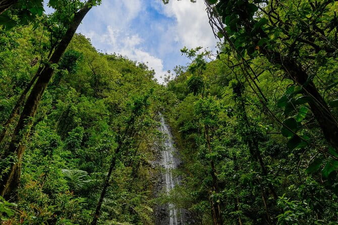 Diamond Head and Manoa Falls Hike and Adventure Tour - Summary: Who Will Enjoy This Tour?