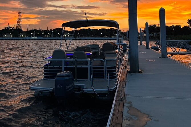Dolphin/Manatee Pontoon Boat Tour with Local Expert - Additional Local Insights